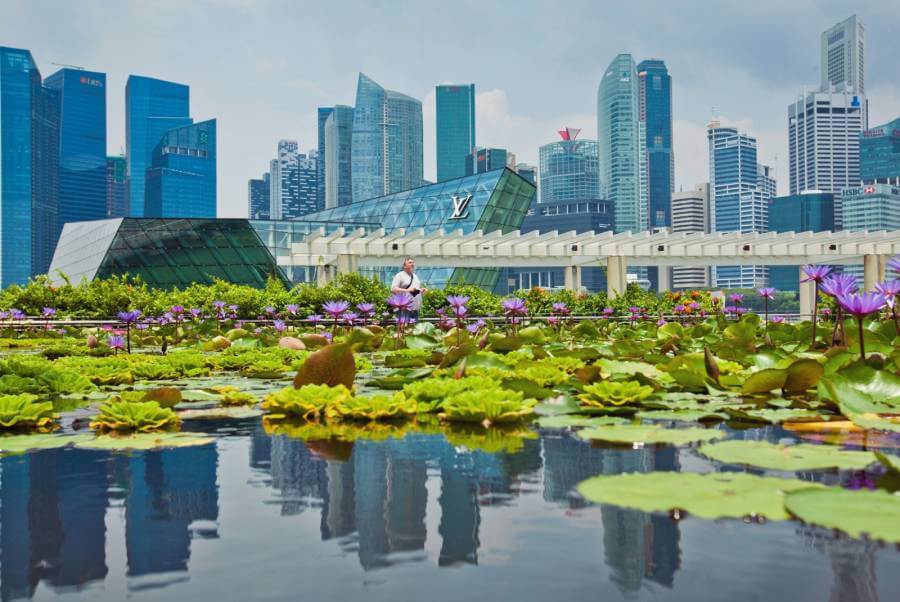 Вот как Сингапур сохраняет прохладу, пока город нагревается
