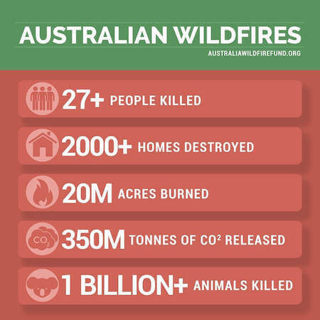 оценка количества животных, погибших в лесных пожарах в Австралии