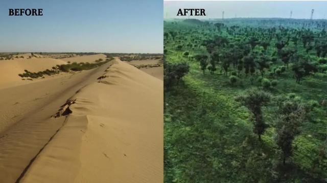 Пустыня в Китае за 60 лет превратилась в зеленый оазис