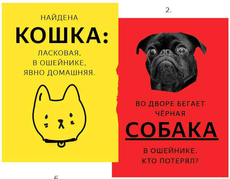 объявления о кошках и собаках