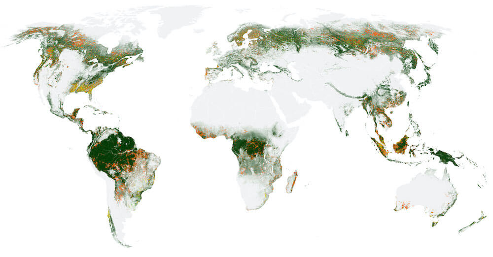 Как вырубка лесов влияет на изменение климата